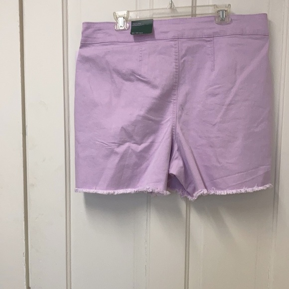 Size 18, pale lavender cotton pleated high rise shorts, by Wild Fable - Picture 4 of 7